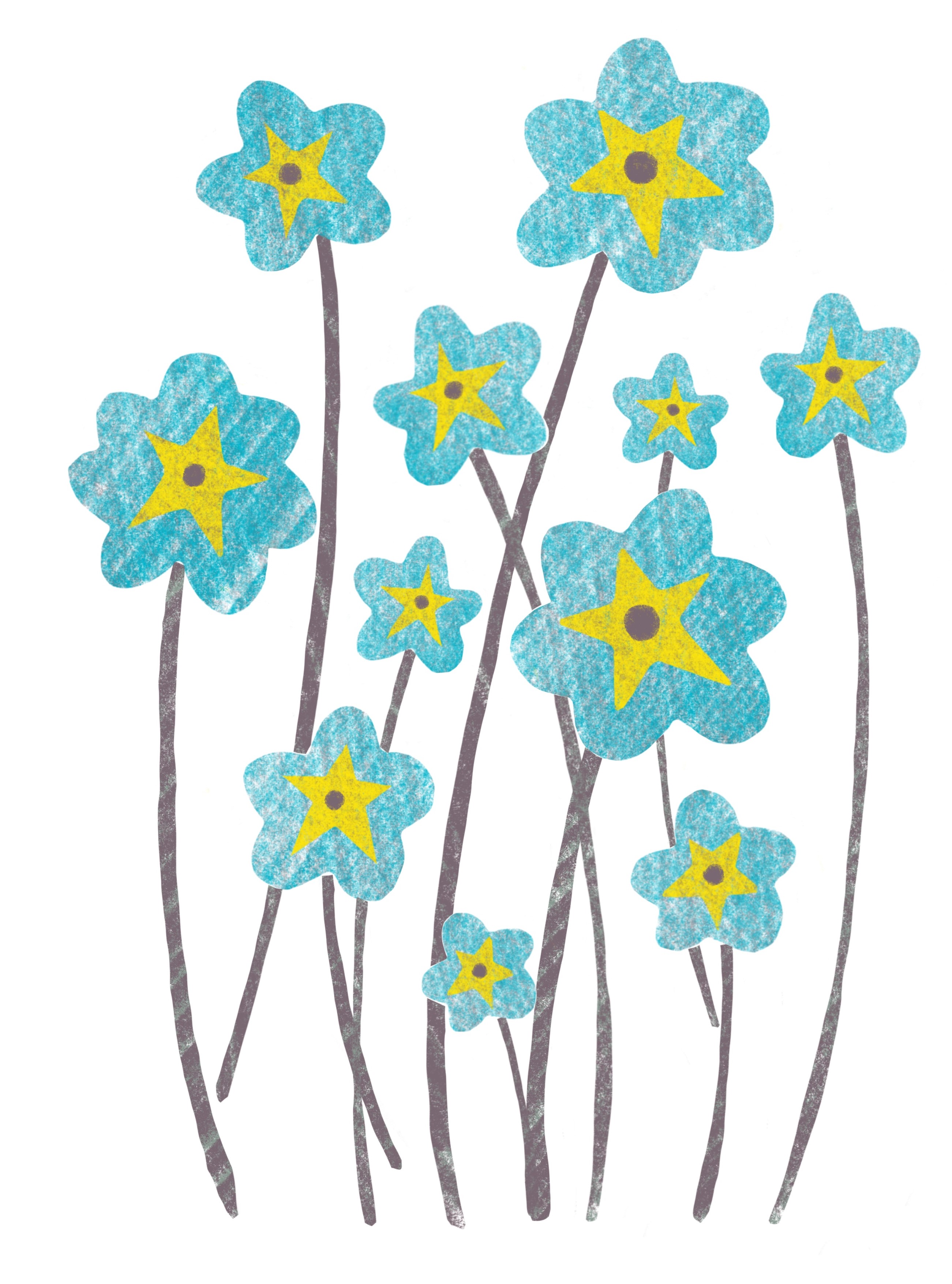 Forget me Nots